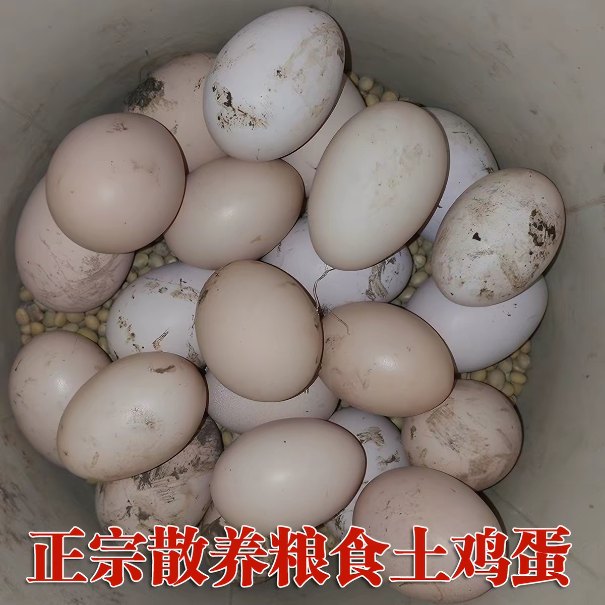 农村新鲜农家散养土鸡蛋现捡现发五谷杂粮喂养30枚/50枚包邮