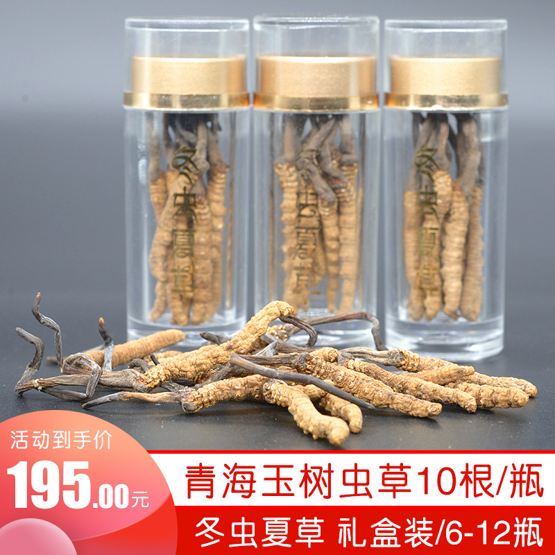 西藏那曲冬虫夏草正品高原特产补品干货断草正宗野生虫草滋补礼盒