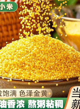 小米黄小米新米小黄米小大米粥农家小米粥米食用小米粗粮小米粮油