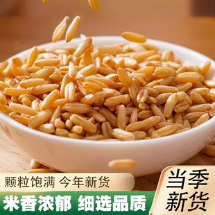 燕麦米新货全胚芽米杂粮粗粮农家脱皮燕麦仁新米燕麦粒新鲜五谷粥