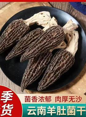 羊肚菌干货特级野生菌菇煲汤食材