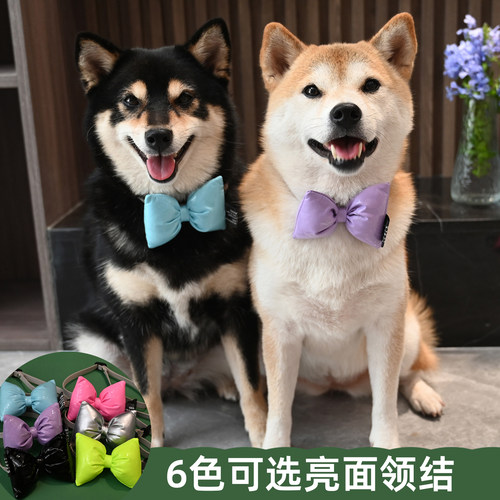 可爱柴犬领结 宠物狗狗柯基泰迪法斗猫咪蝴蝶结PU皮质领带饰品