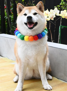 宠物项链糖果彩色毛球柴犬柯基