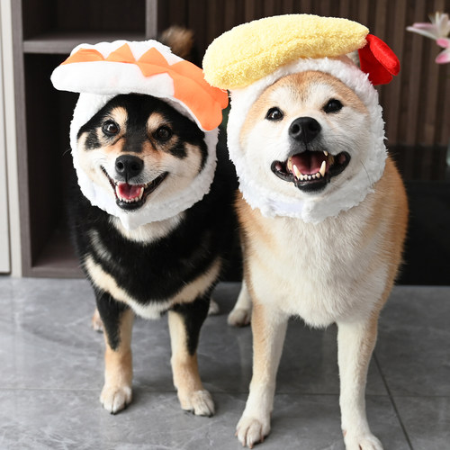 宠物猫咪狗狗柴犬头套帽子