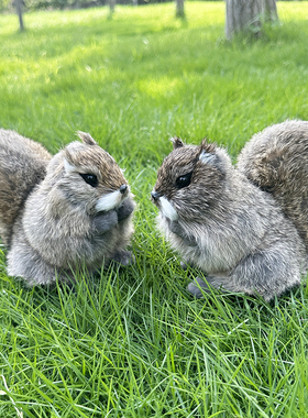仿真松鼠动物模型家居摆件小松鼠玩偶儿童玩具拍照道具园艺装饰