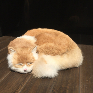 仿真猫咪动物模型家居装 饰品摆设 饰品桌面摆件真皮毛动物玩偶软装