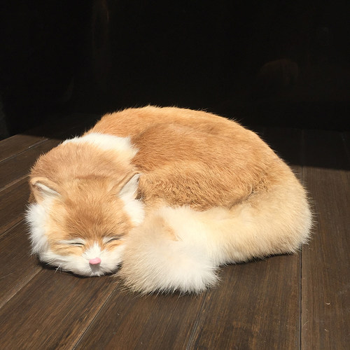 仿真猫咪动物模型家居真皮毛玩偶