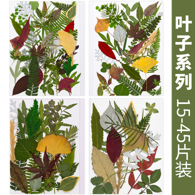 干花叶子diy组合材料包押花书签真树叶植物标本滴胶手机壳手工