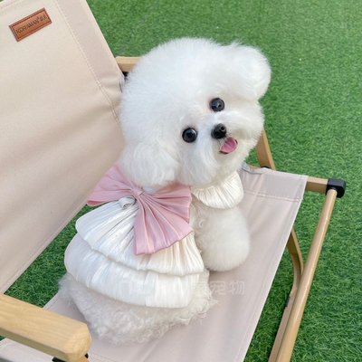 宠物衣服夏季薄款透气流光纱公主裙子泰迪比熊狗狗猫咪外出牵引