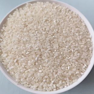 大米2025苏北新米10Kg当季新鲜5055稻米20斤软香佳彩南梗香米9108