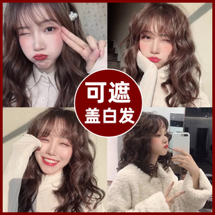 巧克力彩盖白一步到位遮盖白发栗棕色金铜葡萄紫酒红自然黑染发剂