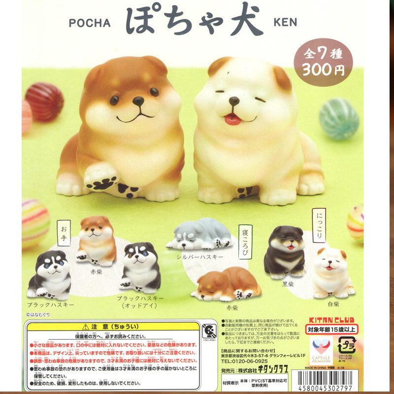 正版奇谭肥嘟嘟的柴犬哈士奇幼崽迷你狗狗汽车摆件扭蛋玩偶