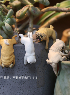 园艺鱼缸花盆装饰微景观造景