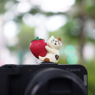 可爱立体猫咪相机热靴盖适用富士XM5佳能V1索尼A7M4尼康Z50防尘盖