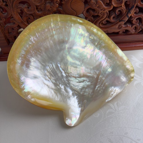 天然贝壳黄蝶贝片彩炫光泽首饰盒家居家居小把玩工艺品