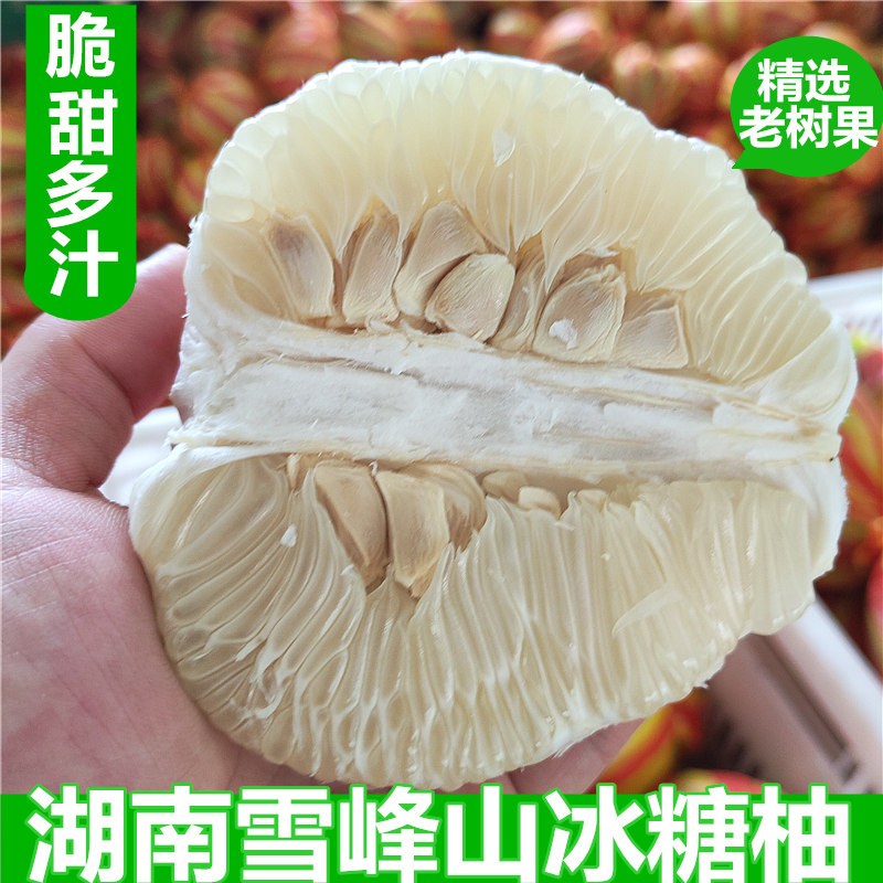 正宗湖南怀化安江雪峰山冰糖柚新鲜水果脆甜老树苦柚土柚小柚子