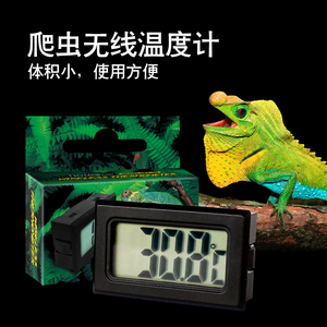 爬虫箱温度计 温度显示器  爬宠用品  电子温度计迷你 款包邮
