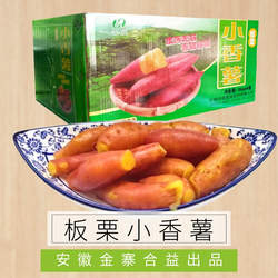 金寨板栗小香薯散装加热即食香甜皮薄饭店家宴美味点心休闲小吃