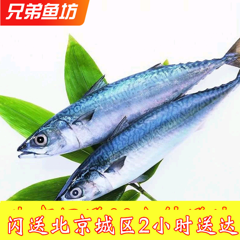 750克/条北京闪送生猛海鲜新鲜冷冻东海鲅鱼马鲛鱼