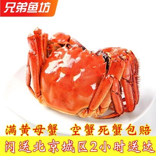 只河蟹螃蟹满10只 免邮 4.3两 单只北京闪送鲜活大闸蟹满黄母蟹3.8 费