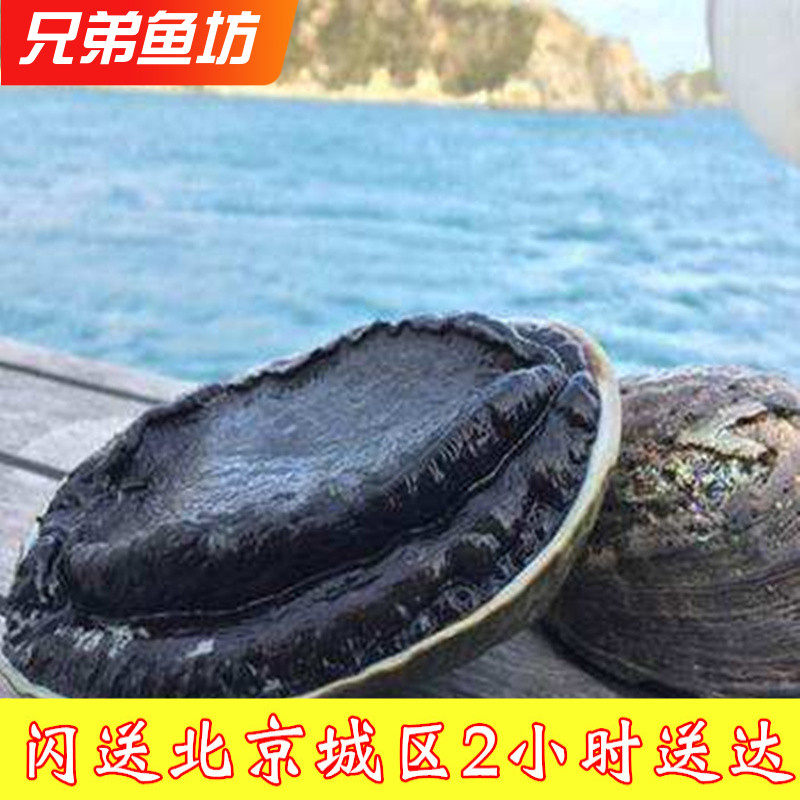 500克/只北京闪送新西兰进口PH16黑金鲍冷冻大鲍鱼新鲜活冻可刺身