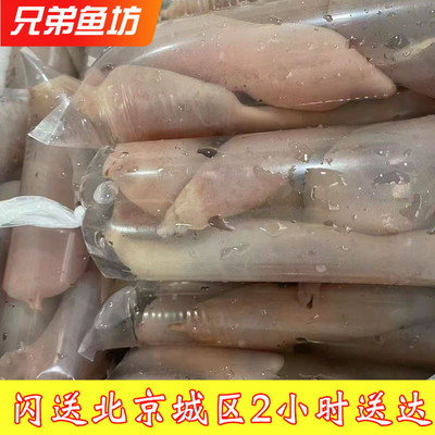 北京闪送 鲜活海肠子 新鲜海鲜 新鲜沙虫 海葵 海肠水产