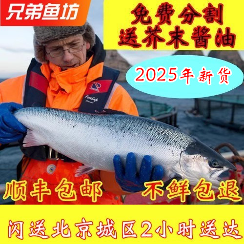智利冷冻整条三文鱼刺身生鱼片