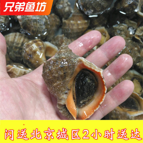500克/7个左右北京闪送生猛海鲜