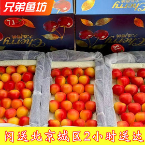 斯卡拉雷黄红双色樱桃国产车厘子