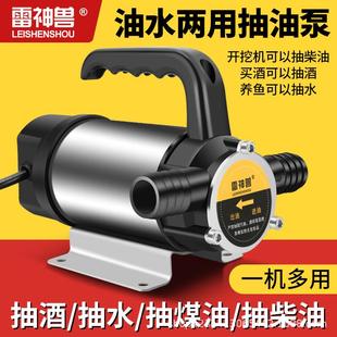 油水两用泵电动泵小型柴油正反转抽水泵12V24V220V自吸泵抽油神器
