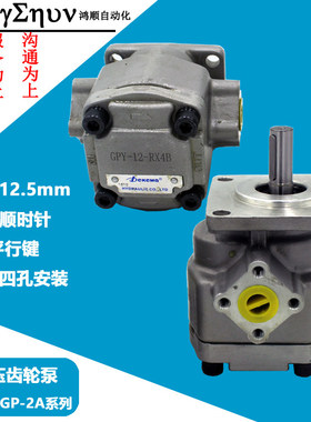 齿轮泵GPY-6-RX4B GPY/HGP-F2/3/4/8/9/11.5/12-RX4B