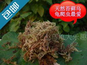 爬虫用品无菌青苔垫材水苔苔藓 保温保湿乌龟过冬爬宠冬眠包邮