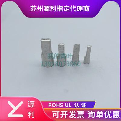扁型裸端子紫铜鼻TNA5.5苏州源利