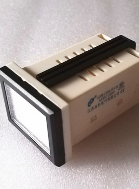 江苏双科电气LED光示牌 光字牌 AD56-22GS-39*31 绿色 蓝色