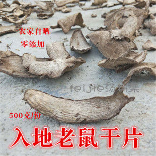 野生入地老鼠新鲜晒干紫色茉莉花根煲汤煮水中药材钻底老鼠500克