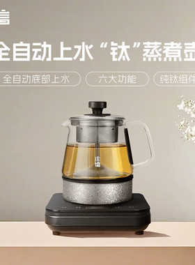 庄信纯钛全自动加水蒸煮两用煮茶壶黑茶老白茶专用高端煮茶蒸茶器