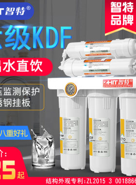 中国台湾智特超滤家用龙头净水器