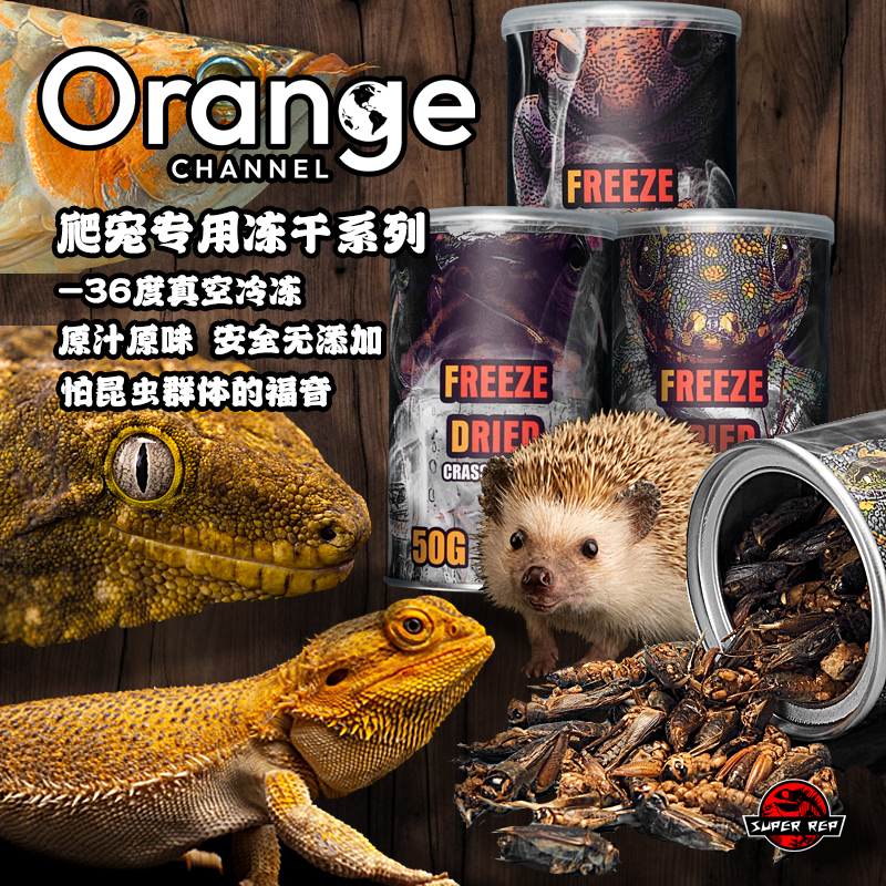 高蛋白营养爬宠刺猬昆虫