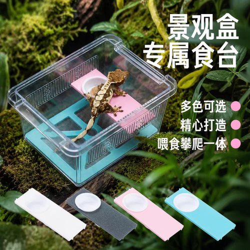 爬宠攀爬食台食盆水盆