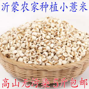 小薏米沂蒙农家自产今年新鲜小粒薏仁米薏苡仁杂粮煮粥包邮500g