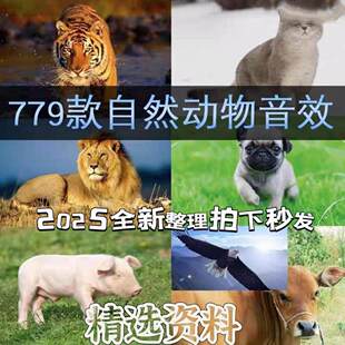 779款各种动物音效音乐猪牛羊马熊虎猫老虎狮子狼鸡叫声音频合集