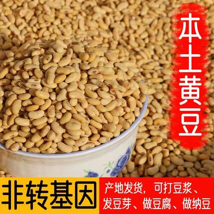 5斤装新品冲量高发芽率椭圆肾形黄豆非转基因农家自种豆打豆浆腰
