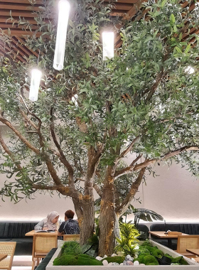 海虹景观餐饮仿真橄榄树假绿植