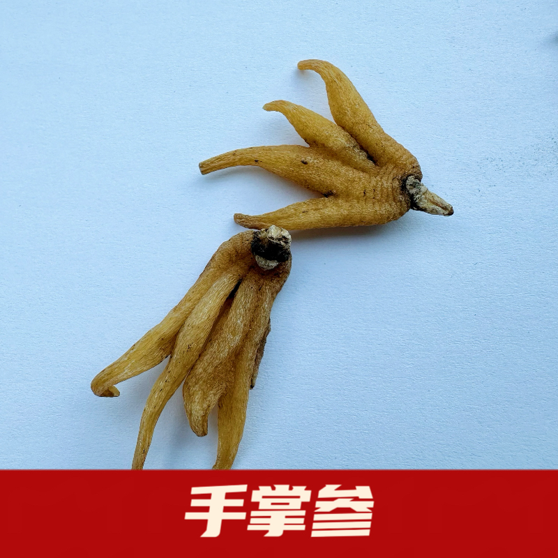 手掌参批发中药材掌参干货野生手儿参无硫磺佛手参无添加