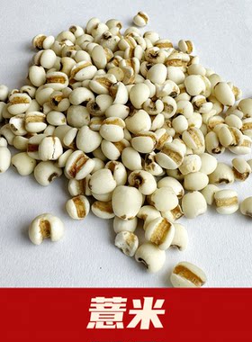 新鲜贵州小薏米薏仁米薏苡仁五谷杂粮农家新货国产中药用薏米仁