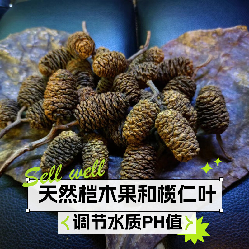 天然桤木果斗鱼虾埃及鱼缸造景调节水质PH值调黑水仿南美鱼缸水色,宠物/宠物食品及用品,造景/装饰,淘宝优惠券,粉丝福利购,淘宝优惠卷