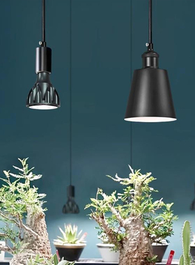 光植物谱补灯光光太照热阳内植绿室植家用吊花灯盆全栽长卉生灯