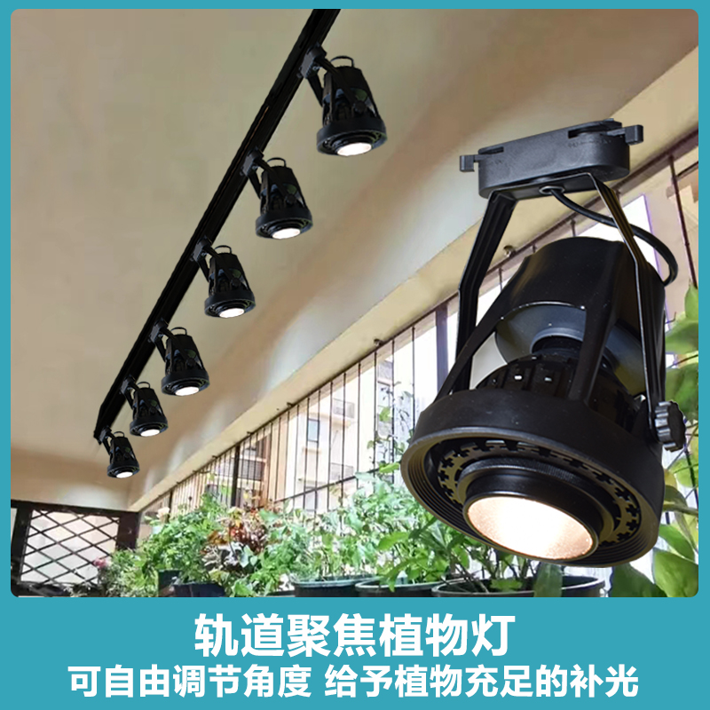 轨道款射灯植物补光灯天南星科绿热植类观叶全光谱导轨植物生长灯