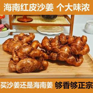 正宗海南红皮沙姜新鲜特产山奈猪脚配料白切鸡椰子鸡配料