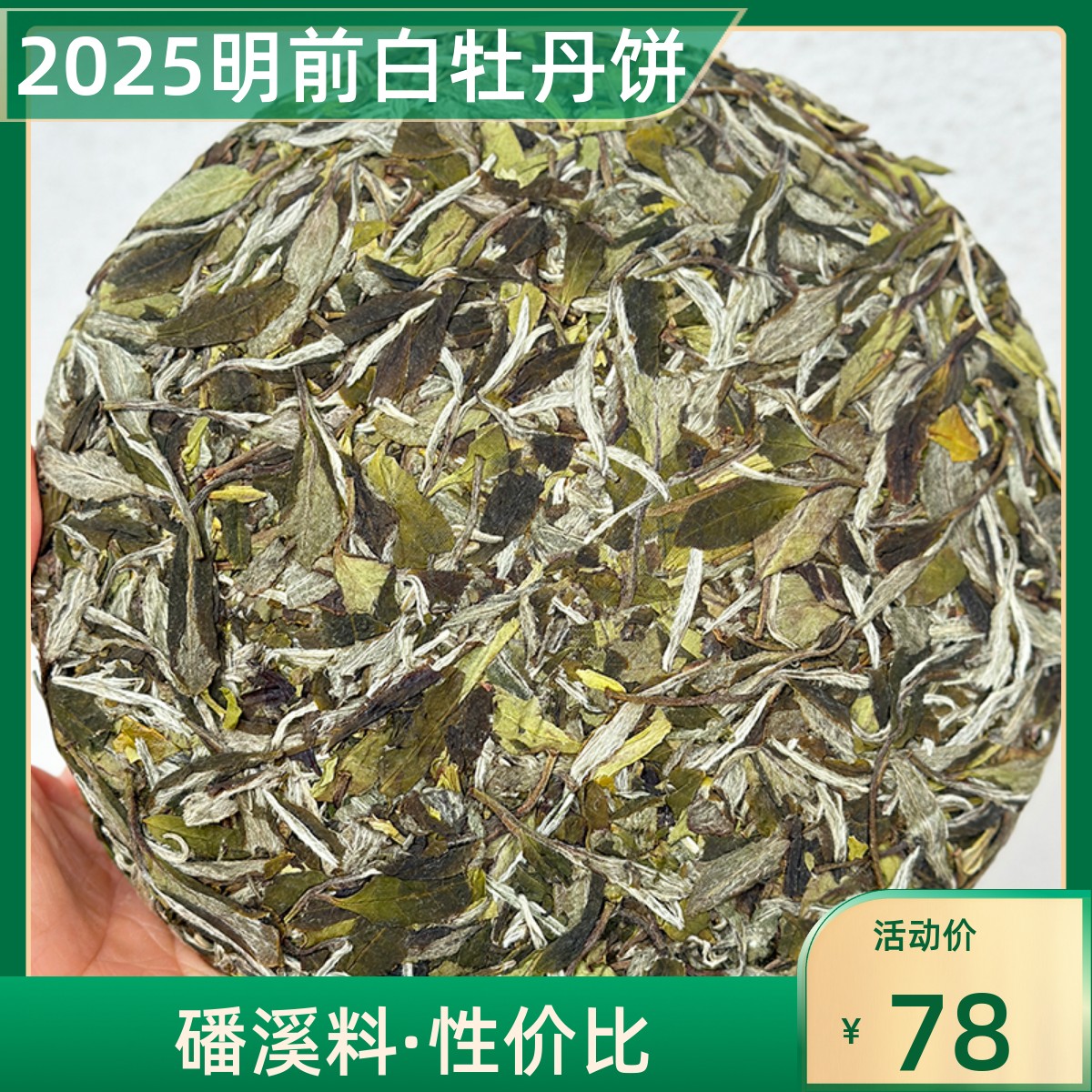 福鼎白茶2025年300克磻溪高山料